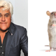 Illustration for article titled Lady Sues Jay Leno for Implying She Had Sex with a Rat